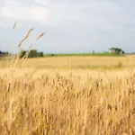 Tenuta Capizucchi Апарт-отель Рим