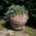 Апарт-отель Tenuta Capizucchi