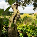 Tenuta Capizucchi Апарт-отель Рим