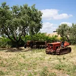 Tenuta Capizucchi
