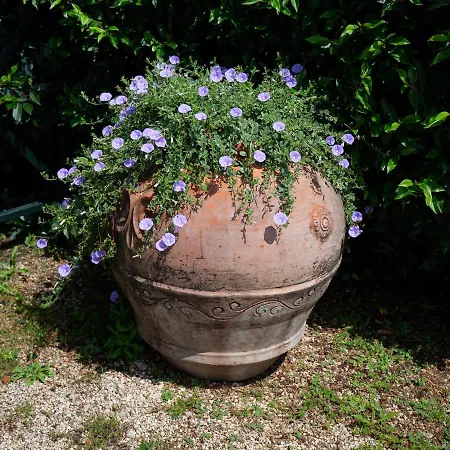 公寓式酒店 Tenuta Capizucchi