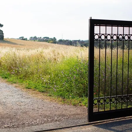 Tenuta Capizucchi روما