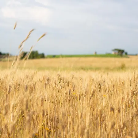 Tenuta Capizucchi Aparthotel Rome