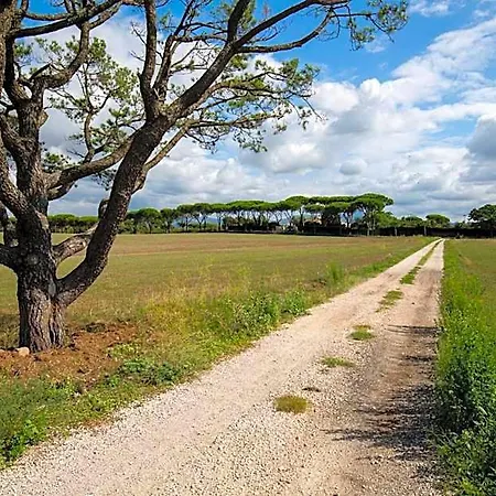 Tenuta Capizucchi