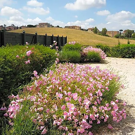 Tenuta Capizucchi 4*