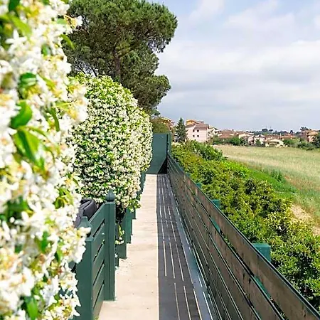Tenuta Capizucchi