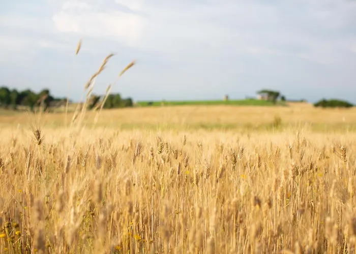 Tenuta Capizucchi Aparthotel Rom