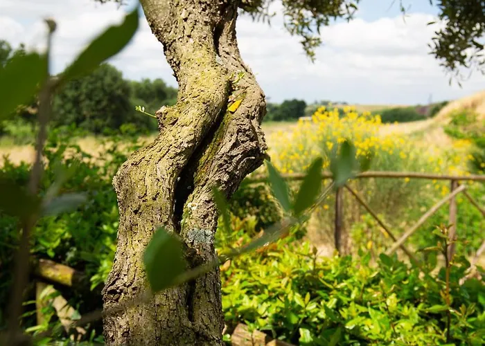 Tenuta Capizucchi Aparthotel Rom